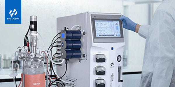 好色先生TV版及发酵知识科普