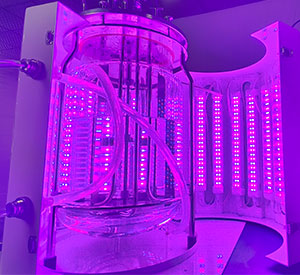 光照黄色好色先生TV光照系统